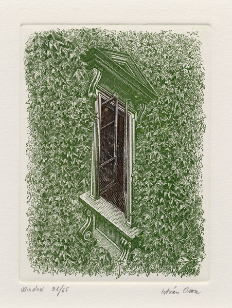 WINDOW